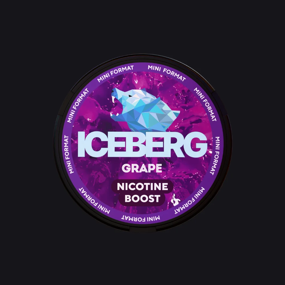 ICEBERG Mini | Grape